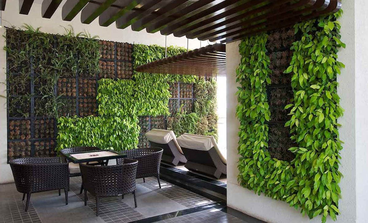 Vertical Gardening Dubai